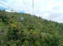 rainforest001.JPG (97260 �o�C�g)