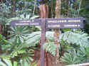 rainforest003.JPG (127232 �o�C�g)