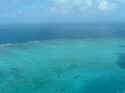 reef001.JPG (39938 �o�C�g)