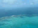 reef002.JPG (37579 �o�C�g)