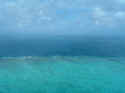 reef003.JPG (38744 �o�C�g)