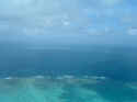 reef004.JPG (33486 �o�C�g)
