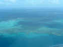 reef005.JPG (35549 �o�C�g)