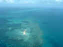 reef006.JPG (30659 �o�C�g)