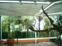zoo001.JPG (116542 �o�C�g)