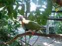 zoo002.JPG (106077 �o�C�g)