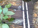 zoo007.JPG (77933 �o�C�g)