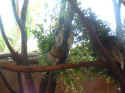zoo009.JPG (85595 �o�C�g)