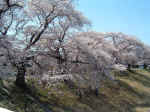 shiroishi005.JPG (130951 �o�C�g)