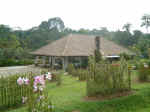 MandaiOrchidGardens006.JPG (98765 �o�C�g)