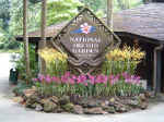 NationalOrchidGarden001.JPG (143902 �o�C�g)