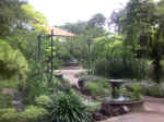 NationalOrchidGarden005.JPG (100584 �o�C�g)