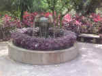 NationalOrchidGarden006.JPG (102242 �o�C�g)